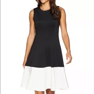 NWT Calvin Klein Color Block Scuba Dress A Line
